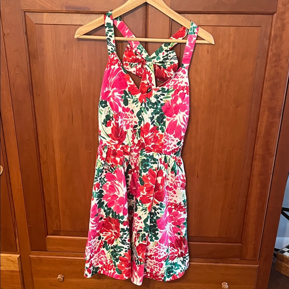 Vineyard Vines Brush Floral Mini Dress Size 4
